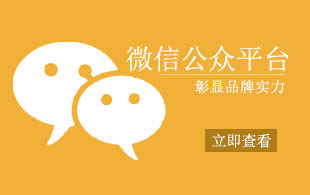 石膏基砂漿外加劑