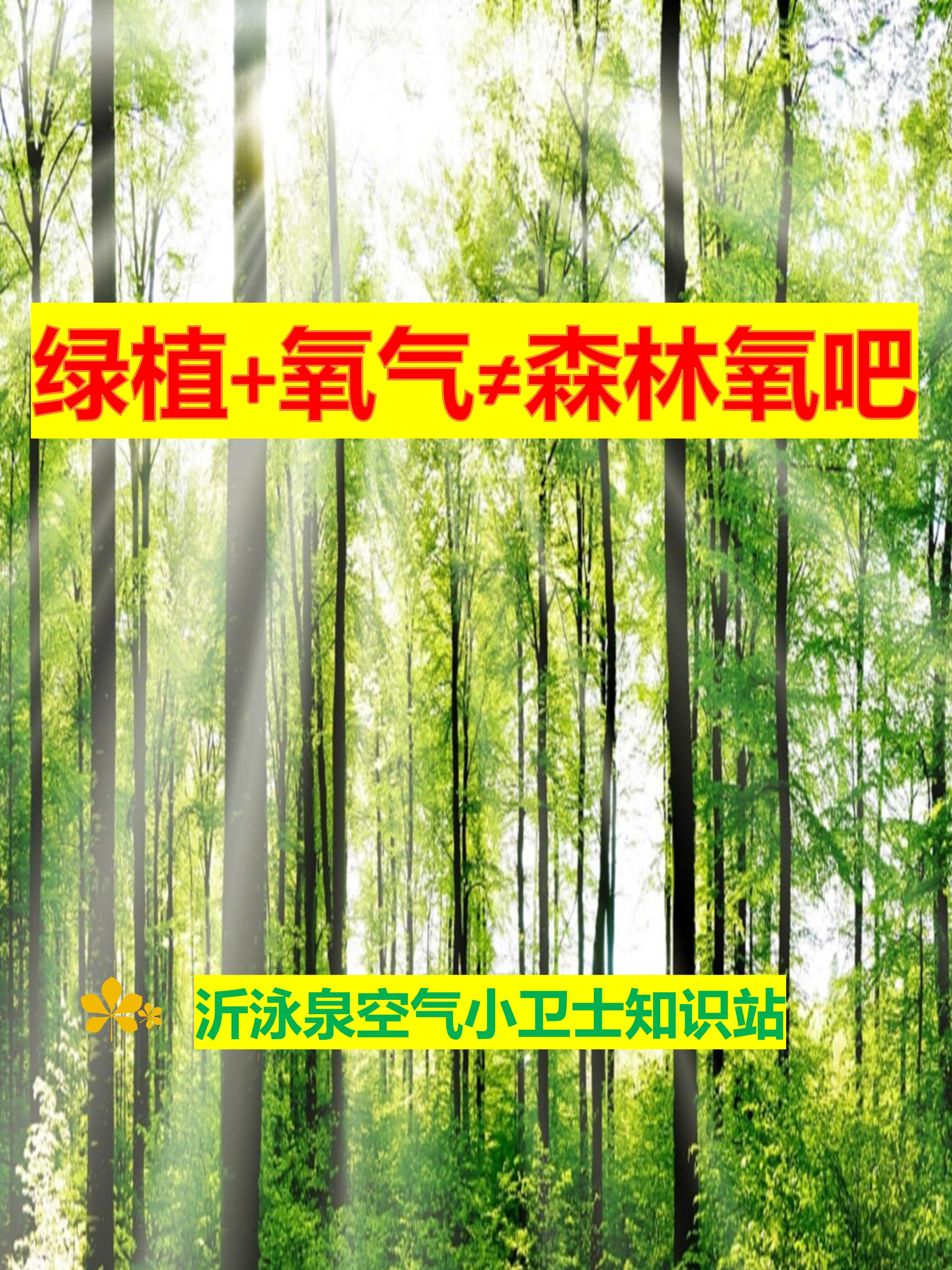 綠植+空氣≠森林氧吧.jpg